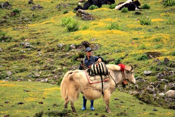 trulyindia-dagala-trek