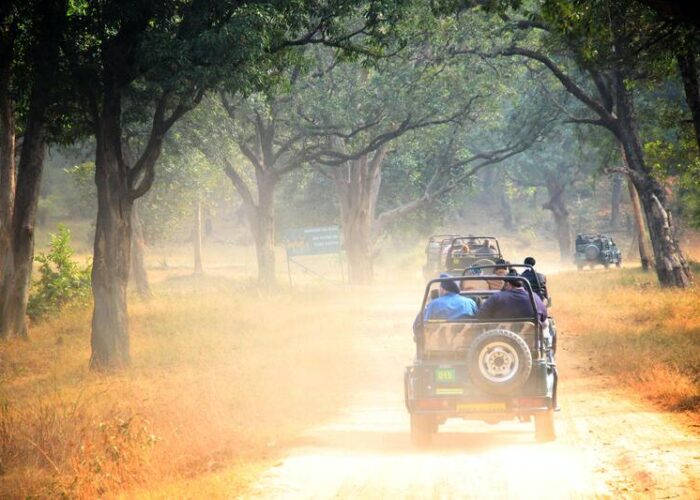 trulyindia-tours-ranthambore