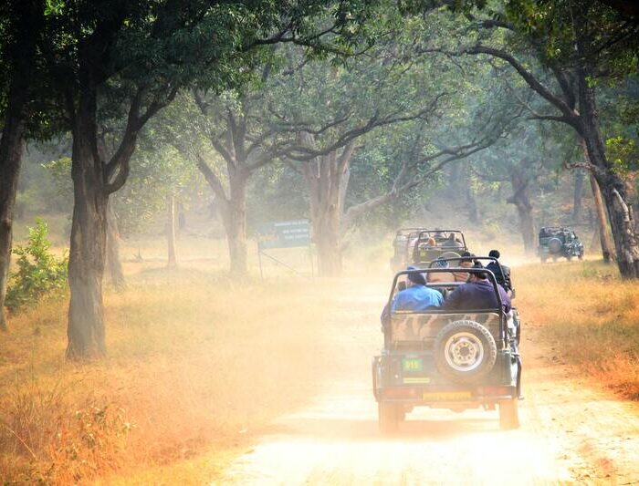 trulyindia-tours-ranthambore