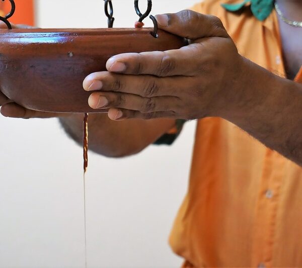 trulyindia-Golden-triangle-ayurveda