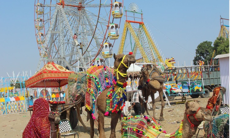 baneshwar fair
