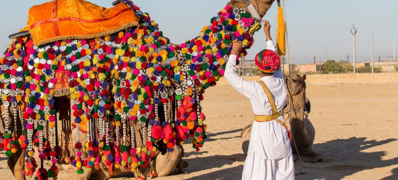 Rajasthan tour