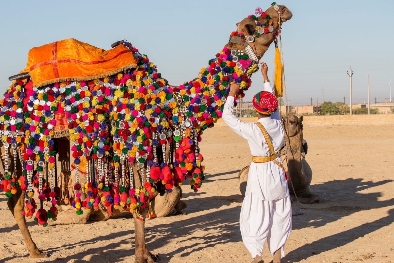 Rajasthan tour