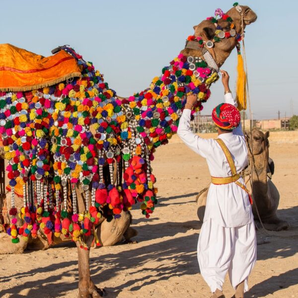 Rajasthan tour