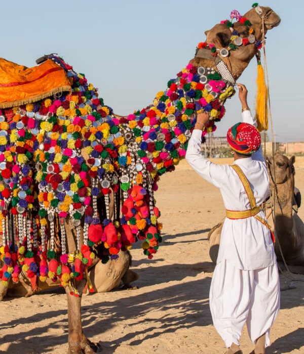 Rajasthan tour