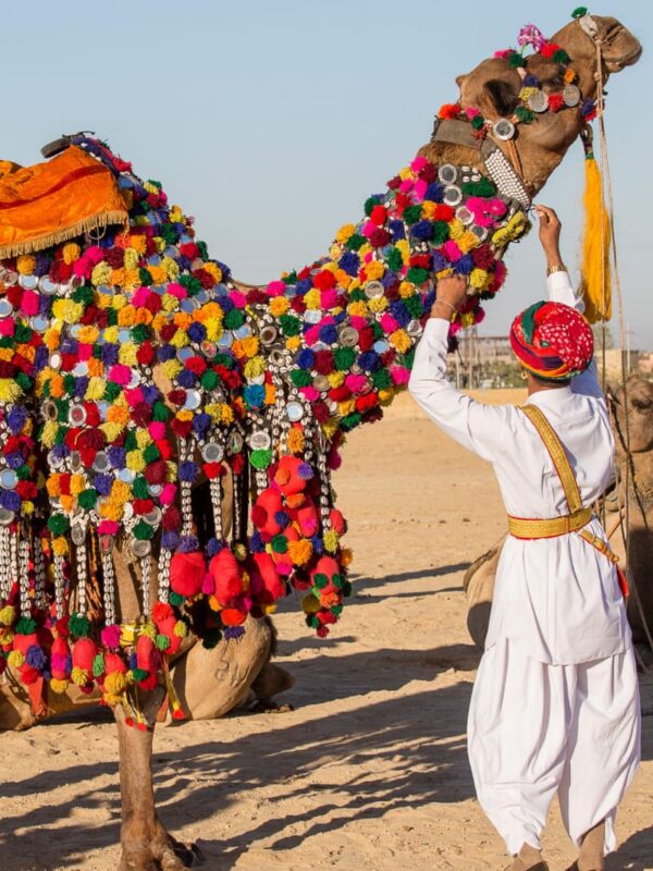 Rajasthan tour