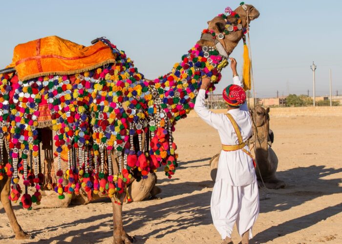 Rajasthan tour