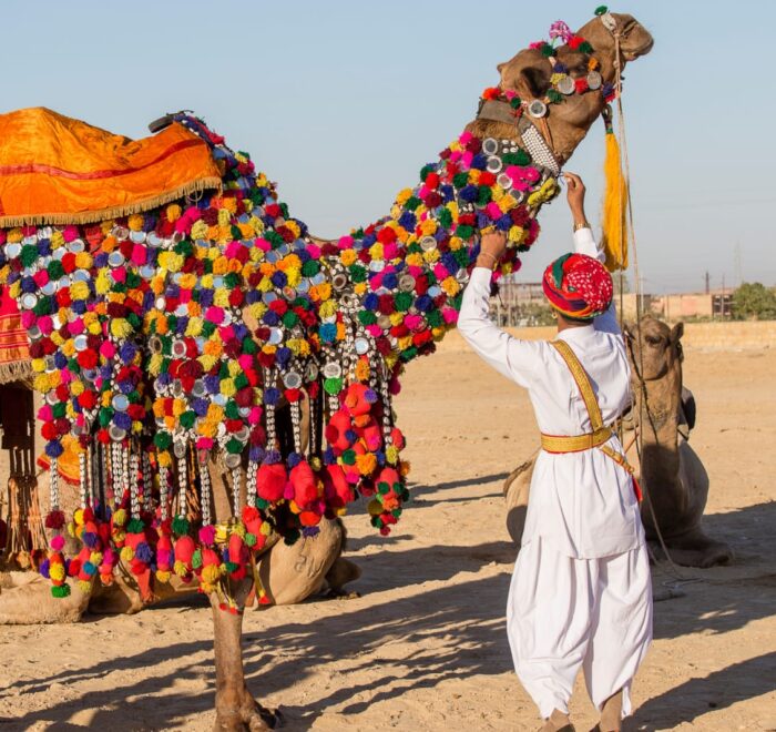 Rajasthan tour